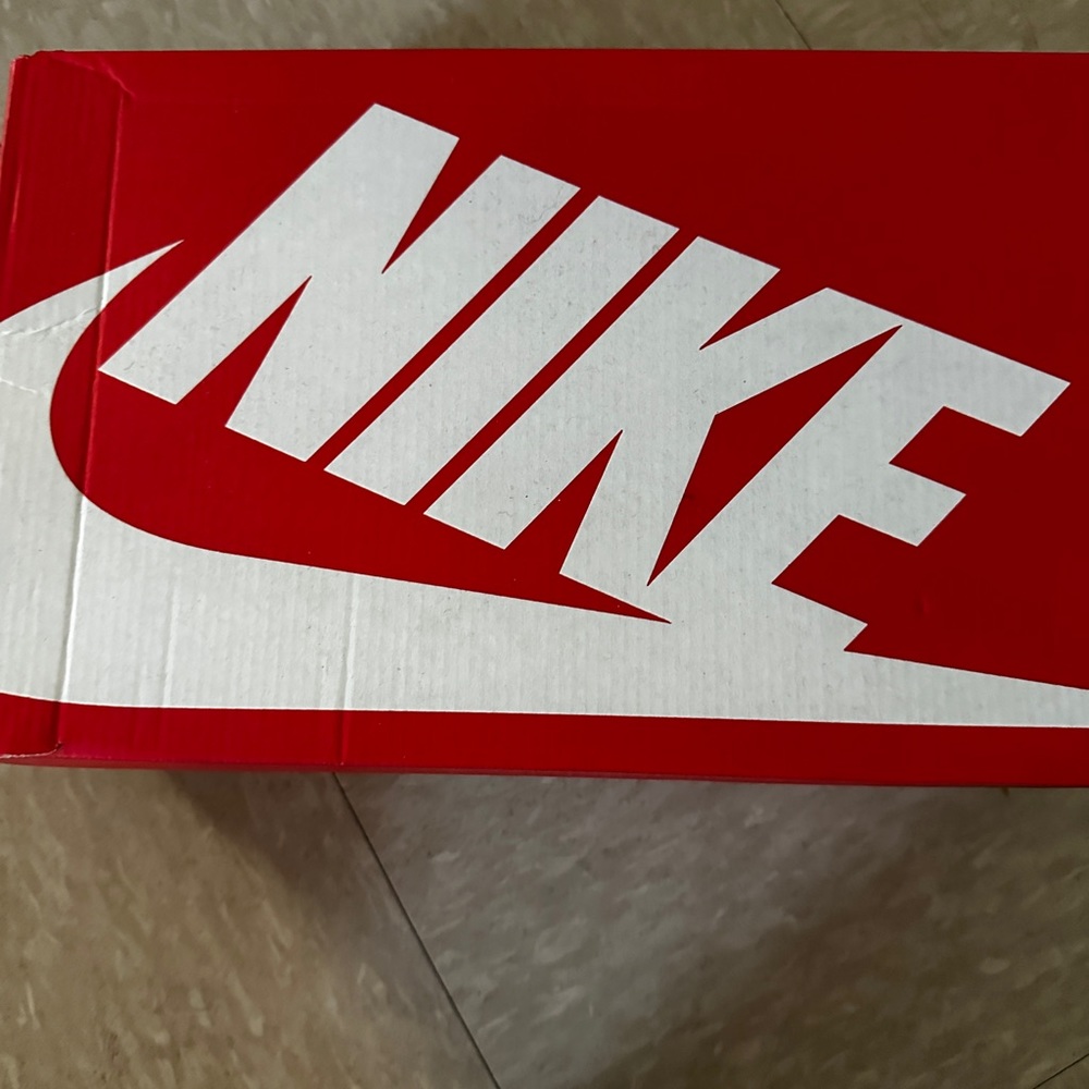 BRAND NEW Nike Dunk